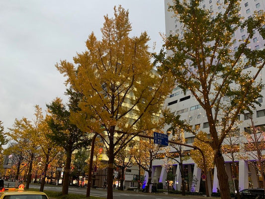 2021年行って勉強になった店5選