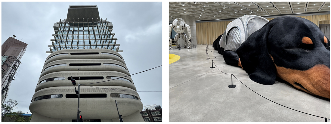 欧米と異なるソウルの店舗戦略【ファッションキャピタルレポート 韓国・ソウル後編】